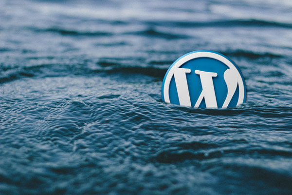Platforma WordPress pozycjonowanie.